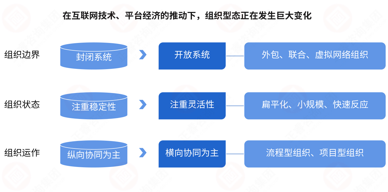 组织型态演进趋势